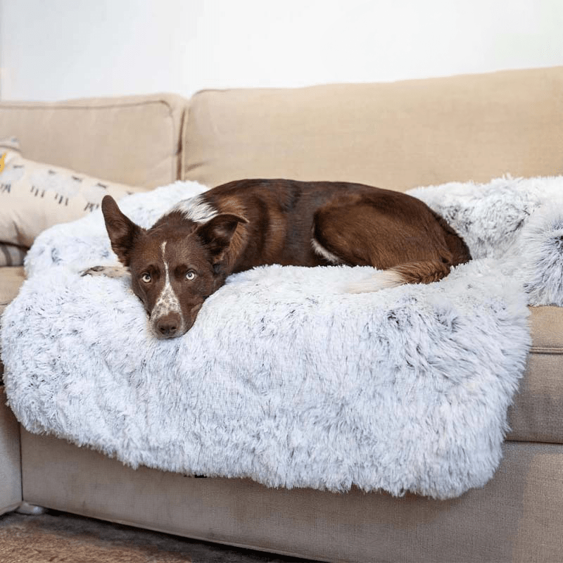 PlushGuard Hundebett Schutz Für Sofa Und Möbel – Wohnish