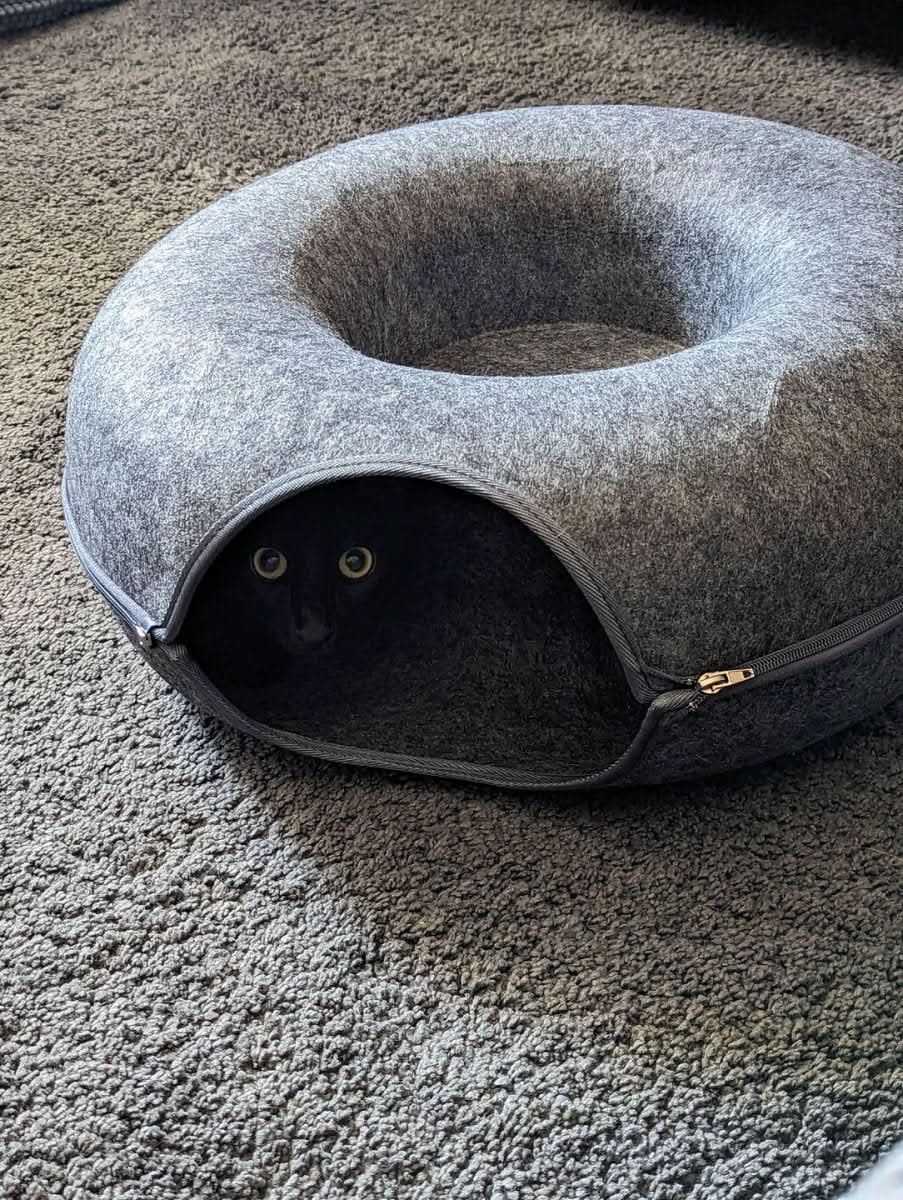 PURRFECT DEN – Lusso tunnel per gatti con cuccia e divertimento di gioco