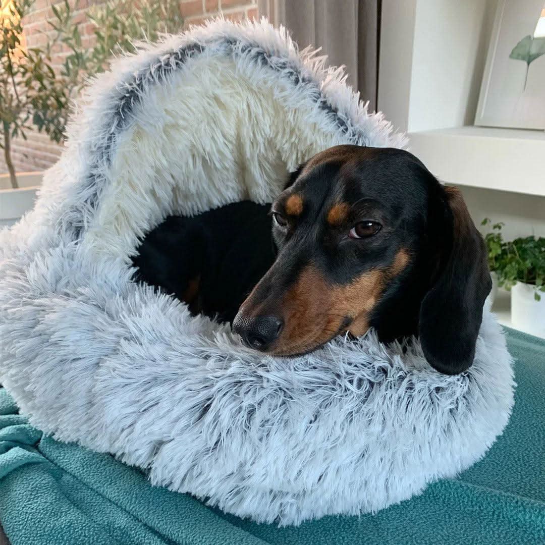 LETTO DI LUSSO PER COPPIE DI ANIMALI DOMESTICI – Morbido letto per animali con protezione completa e comfort