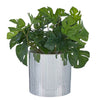 DISCO Blumentopf