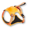 Flexiharnas – Harnais pour chien 2-en-1 avec laisse rétractable intégrée pour des promenades sans stress