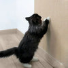 SCRATCHHAVEN – Stijlvolle krabmat voor katten ter bescherming van uw meubels