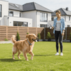 PETSECURE – Sistema inalámbrico de seguridad y entrenamiento para perros