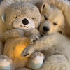 CalmiPet Otter Plüsch – Beruhigendes Kuscheltier für Welpen & Kätzchen-2