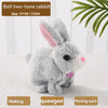 PetPlay Interactive Bunny - Bewegung & Sound für endlosen Spaß-6