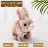 PetPlay Interactive Bunny - Bewegung & Sound für endlosen Spaß-5