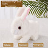 PetPlay Interactive Bunny - Bewegung & Sound für endlosen Spaß-1