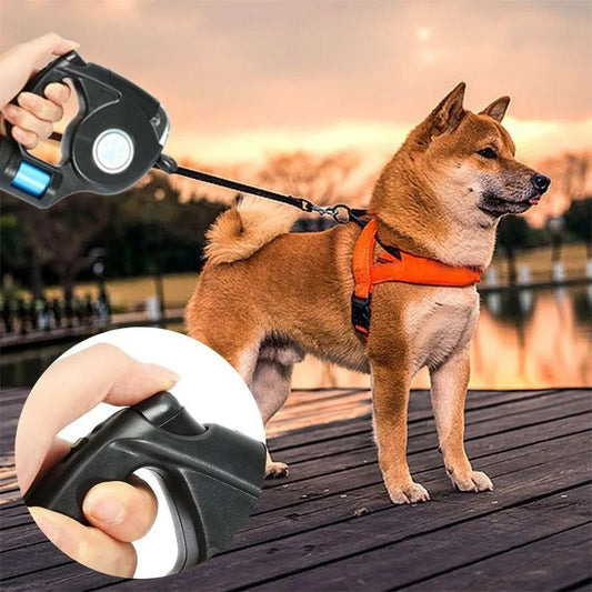 AMÉLIE LUMIÈRE – guinzaglio per cani LED con torcia integrata per passeggiate serali sicure