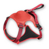 Flexiharnas – Harnais pour chien 2-en-1 avec laisse rétractable intégrée pour des promenades sans stress