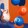 Interaktiver Springball für Hunde