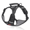 Arnés WalkEase – Arnés para perros anti-tirones para paseos relajados
