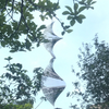 Variant image for Silber