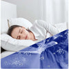 AllerVac Pro - HEPA Staubsauger für Allergene & Bakterien-Schutz-4