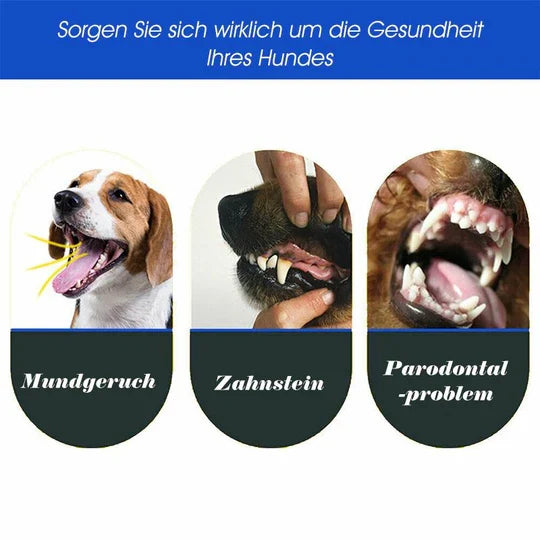 3-Kopf-Hundezahnbürste – Effektive Reinigung für gesunde Zähne