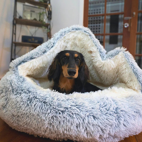 COZYRO