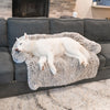 PLUSHGUARD