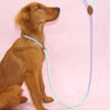 CLÉMENTINE LAISSE – Guinzaglio colorato per cani per passeggiate eleganti e confortevoli