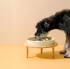 SlowCeramic - Élégant bol artisanal pour animaux de compagnie