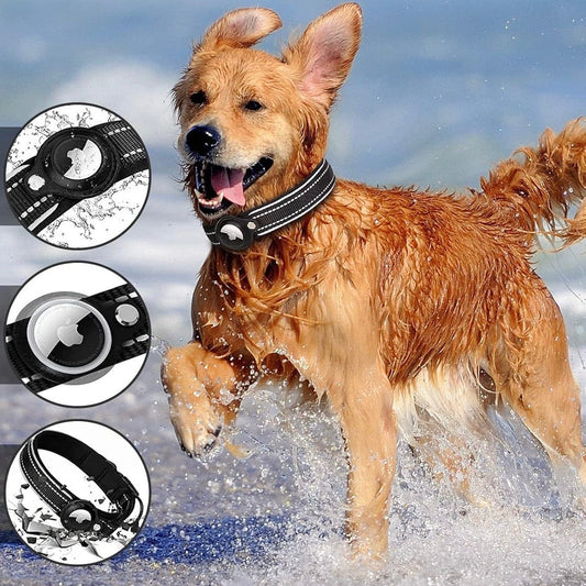 LEAZO - Collier pour chien AirTag