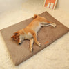 LUXIPLUSH - Orthopädisches Hundebett