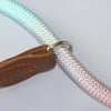 CLÉMENTINE LAISSE – Guinzaglio colorato per cani per passeggiate eleganti e confortevoli