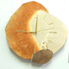 Brie - Horloge murale moderne en bois