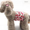 CLEANPAW – Couches lavables pour chien pour chaleurs et incontinence