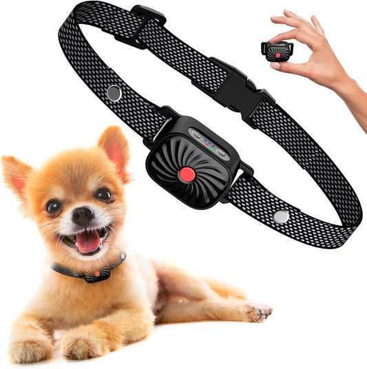 PETCALM Mini – Collier anti-aboiement pour petits chiens avec son et vibration
