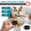 PETCALM Mini – Collier anti-aboiement pour petits chiens avec son et vibration