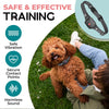 PETCALM Mini – Collier anti-aboiement pour petits chiens avec son et vibration