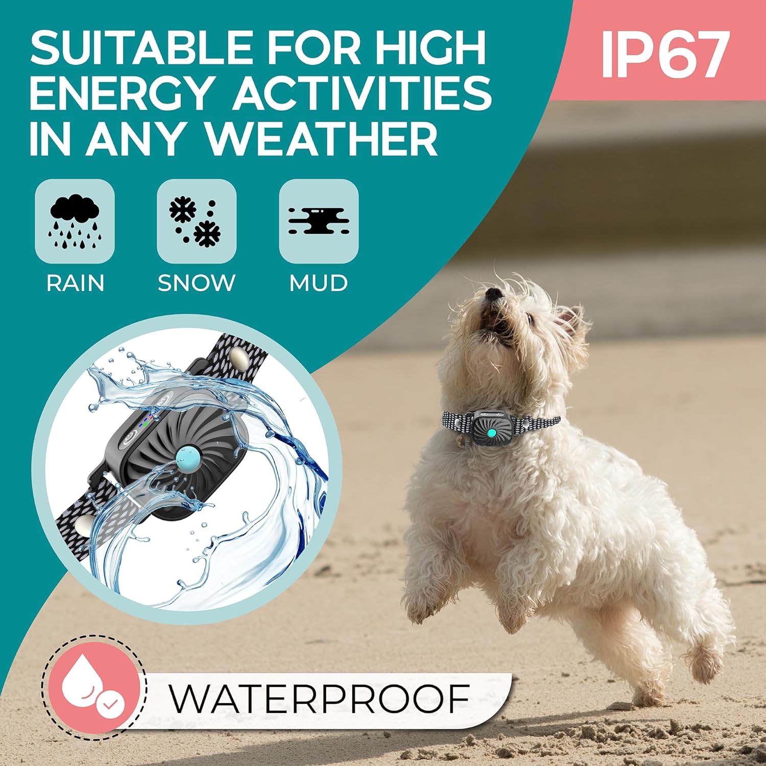 PETCALM Mini – Collier anti-aboiement pour petits chiens avec son et vibration
