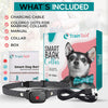 PETCALM Mini – Collier anti-aboiement pour petits chiens avec son et vibration