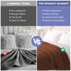 AquaShield Blanket – Wasserdichte Schutzdecke für Möbel & Bett