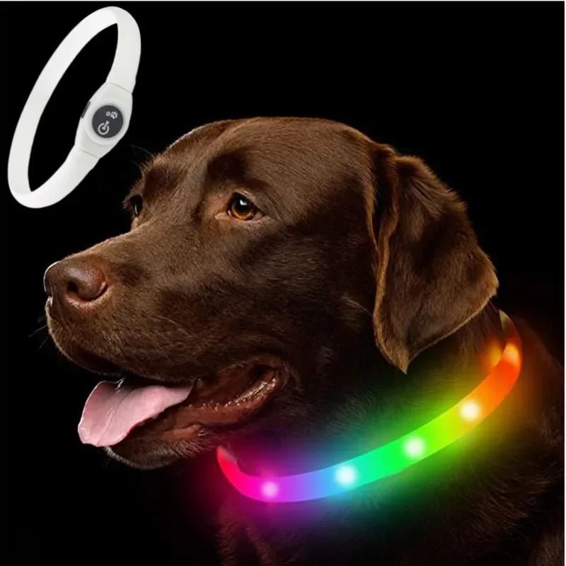 BARKBEAM – LED-Leuchthalsband für Hunde 11