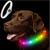BARKBEAM – LED-Leuchthalsband für Hunde 11