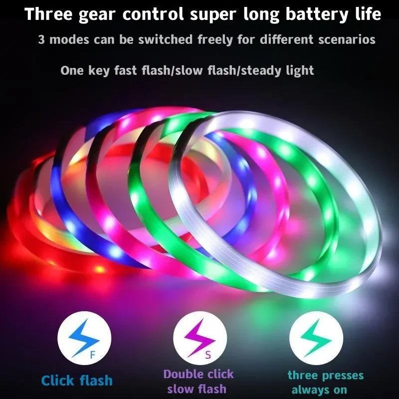 BARKBEAM – LED-Leuchthalsband für Hunde 4