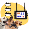 PETSECURE – Sistema inalámbrico de seguridad y entrenamiento para perros