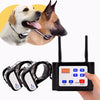 PETSECURE – Sistema inalámbrico de seguridad y entrenamiento para perros