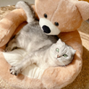SAMIYA CUCCIA PER GATTI – Letto rotondo accogliente per un sonno sicuro del gatto