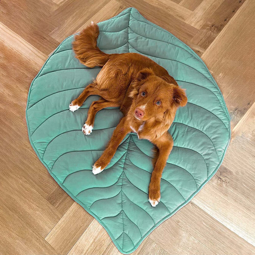 LEAFNEST – Bladvormige hondenkennel voor comfort & woonstijl