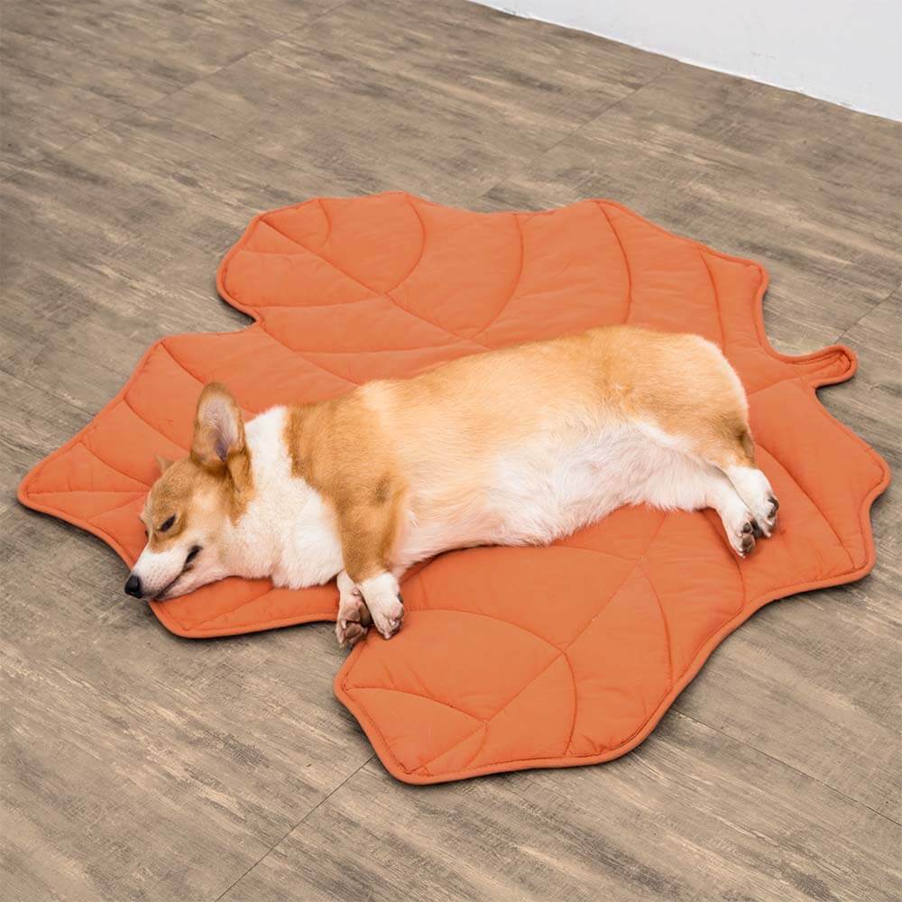 LEAFNEST – Bladvormige hondenkennel voor comfort & woonstijl
