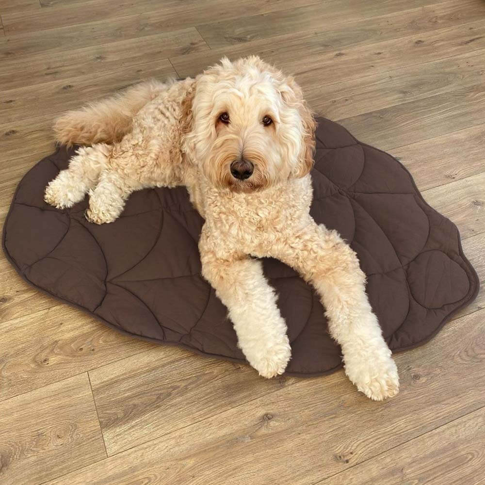 LEAFNEST – Bladvormige hondenkennel voor comfort & woonstijl