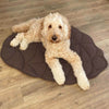 LEAFNEST – Bladvormige hondenkennel voor comfort & woonstijl