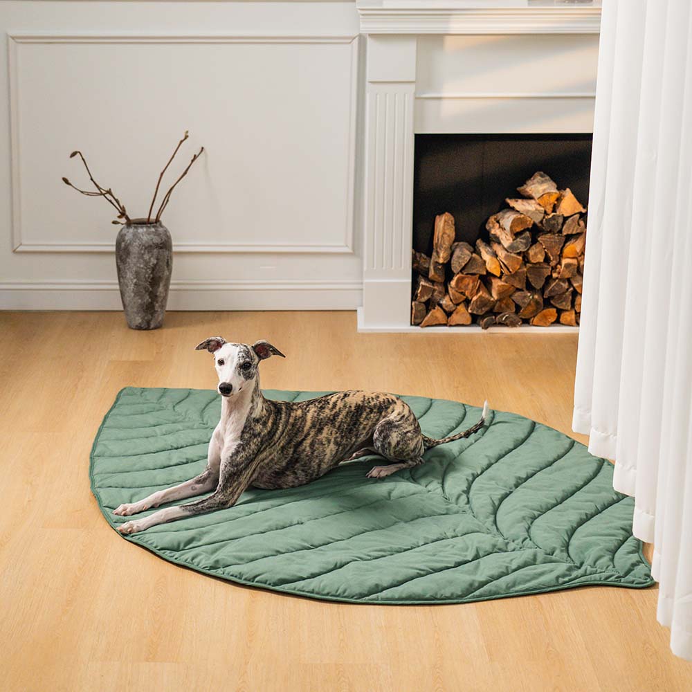 LEAFNEST – Bladvormige hondenkennel voor comfort & woonstijl