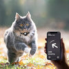 CATSAFE TRACK – Collar rastreador GPS para seguridad y visibilidad en gatos