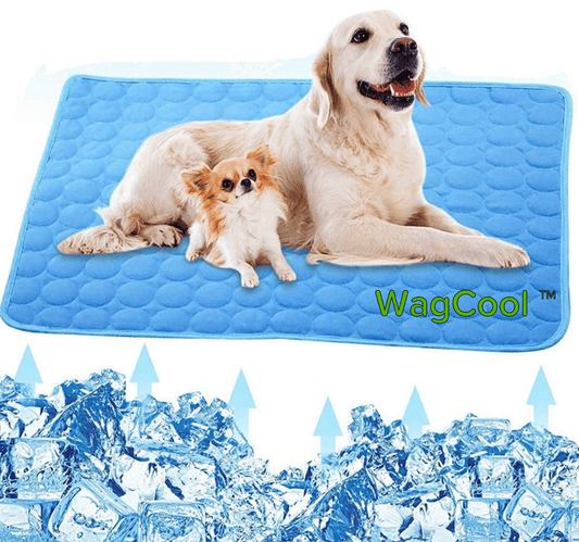 CoolPet Mat – Tapis rafraîchissant pour chien pour les journées chaudes & fraîcheur instantanée