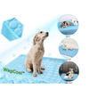 CoolPet Mat – Tapis rafraîchissant pour chien pour les journées chaudes & fraîcheur instantanée