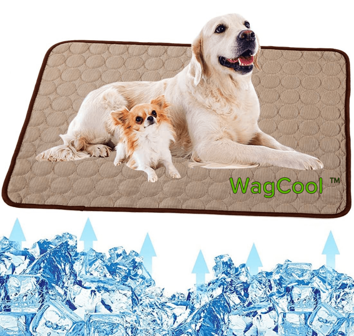 CoolPet Mat – Tapis rafraîchissant pour chien pour les journées chaudes & fraîcheur instantanée