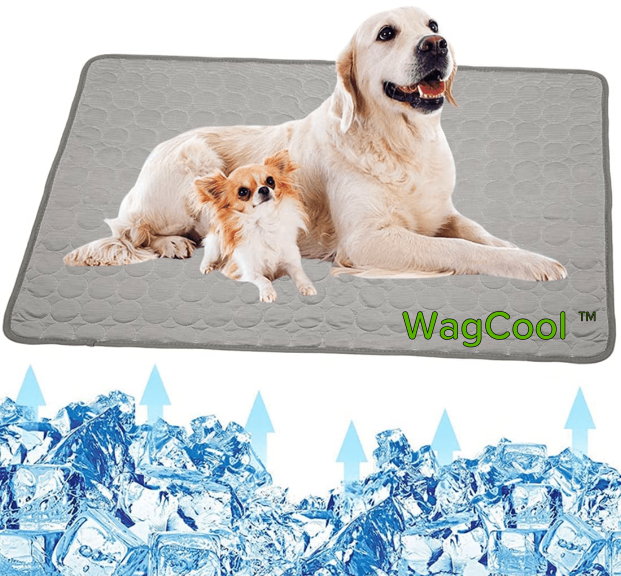 CoolPet Mat – Tapis rafraîchissant pour chien pour les journées chaudes & fraîcheur instantanée
