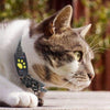 CatGuard GPS – Tracker per gatti in tempo reale senza abbonamento